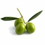 Sarjilla certified organic Aleppo soap - laurel berry oil and olive oil